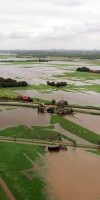 Maasland wateroverlast header