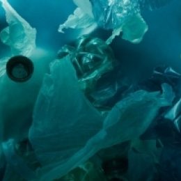 Plasticvangen plastic under water