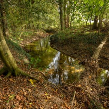 Protected Brook near Winterswijk in the Netherlands in the fall Adobe Stock 74497681 KL