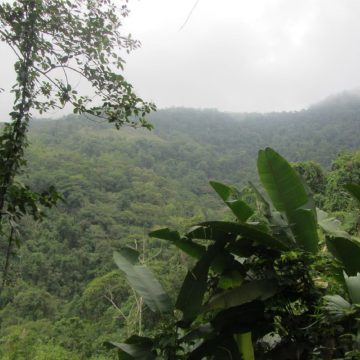 Zona bananera Colombia imagen Marta