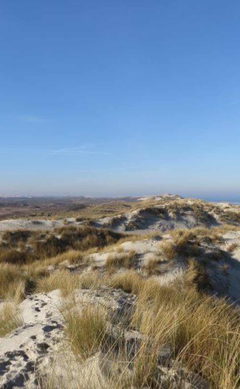 Nature bases solutions duinen