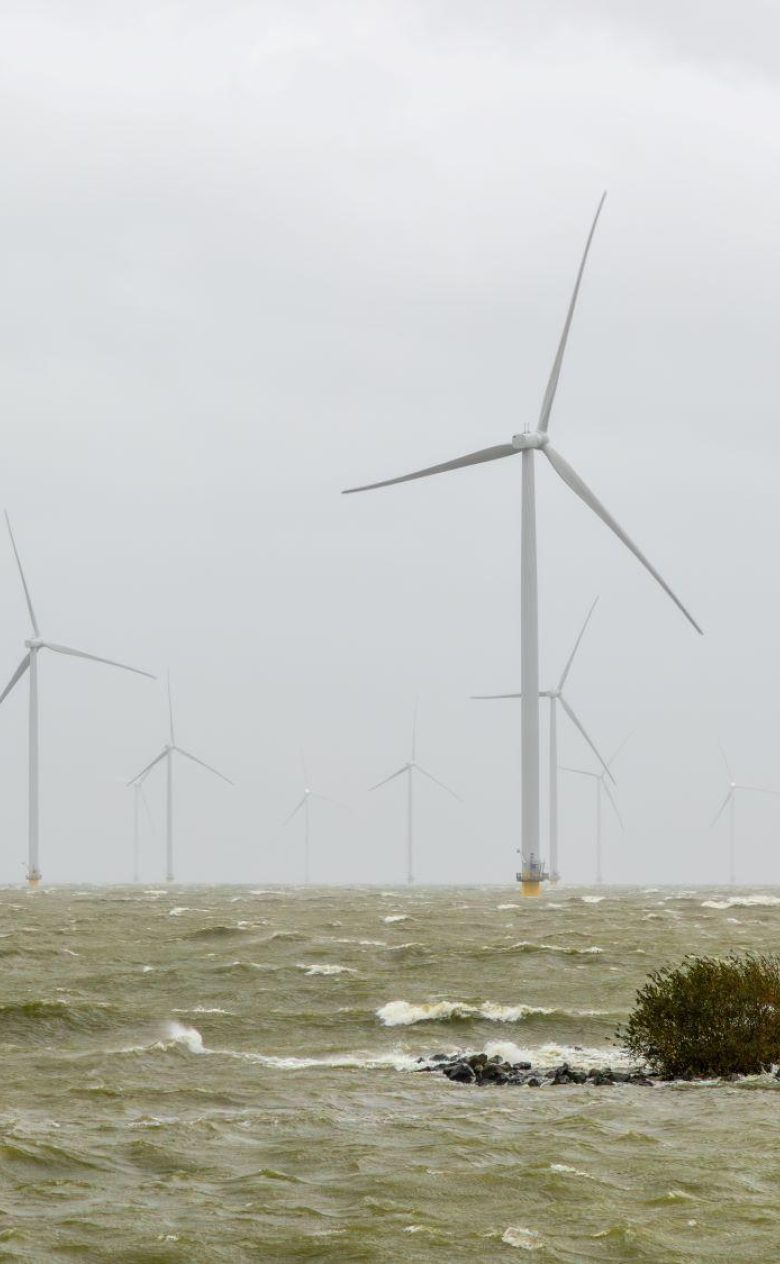 Windmolenparken Noordzee web