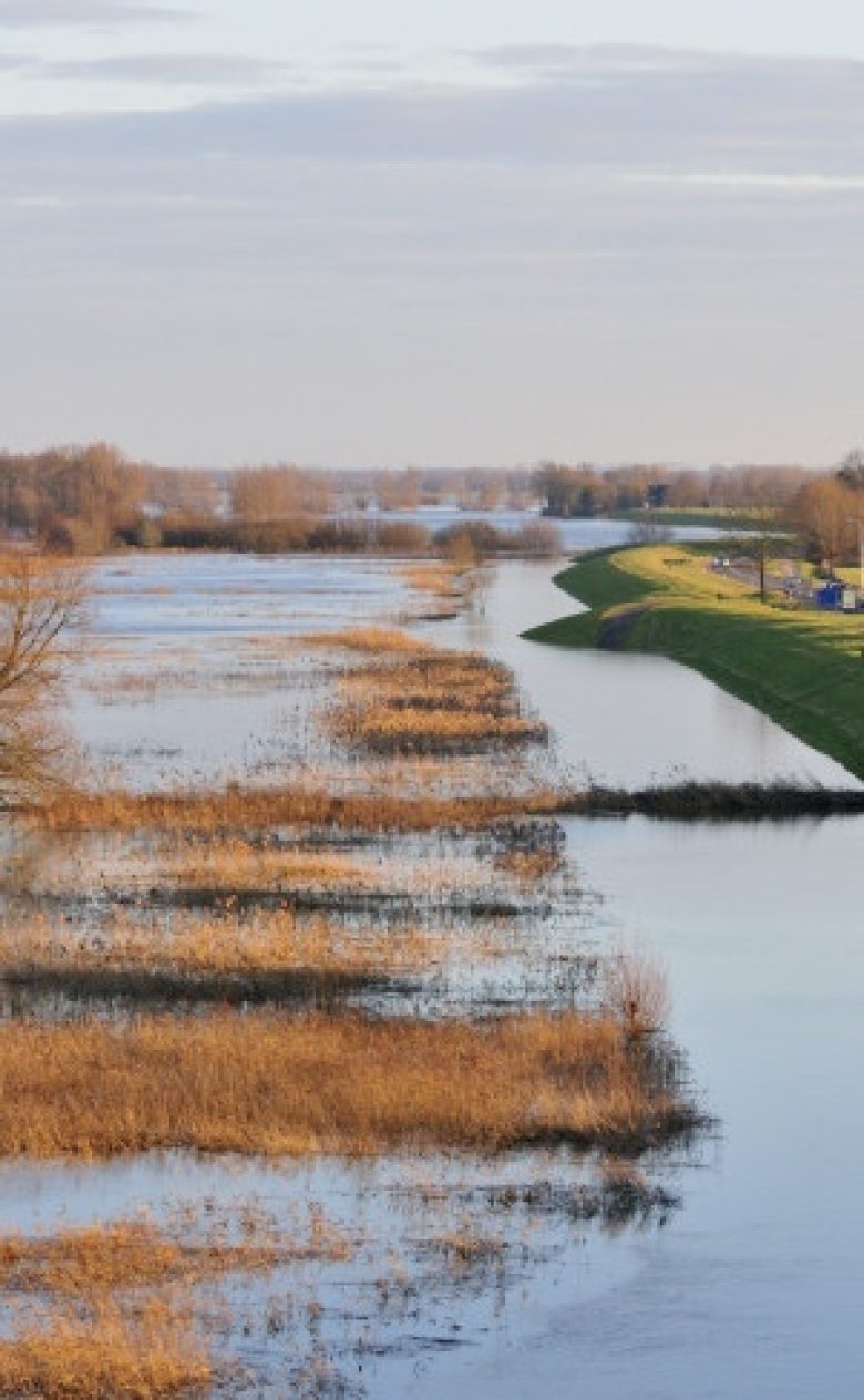 Bijschrift Rijkswaterstaat ruimte voor de rivier
