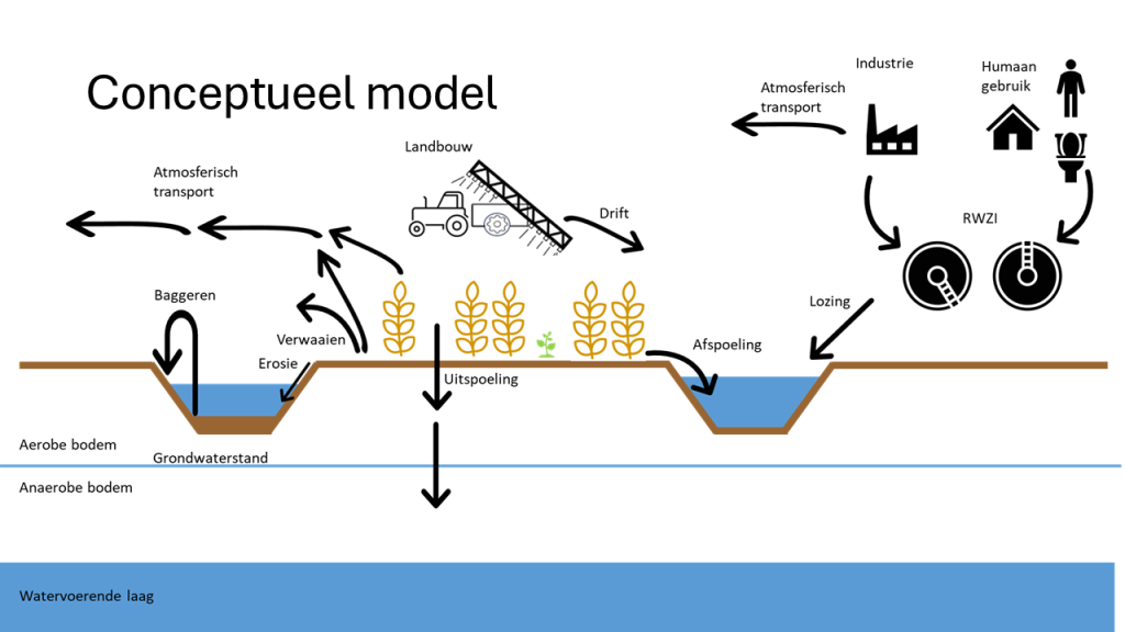 Conceptueel model Dinoterb onderzoek