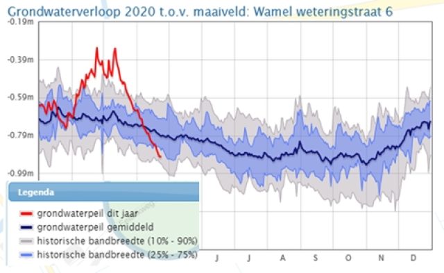 Tijdreeks van een grondwatermeetpunt in het Land van Maas en Waal nabij Wamel