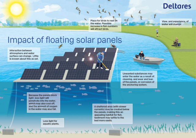 Potential positive and negative effects of a floating solar farm.