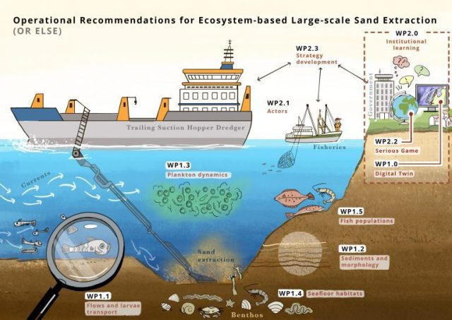 Operational recommendations for Ecosystem-based Large-scale Sand Extraction