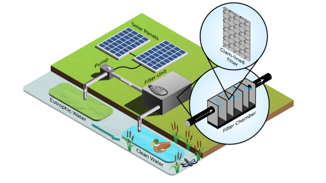 Idee achter BioValves