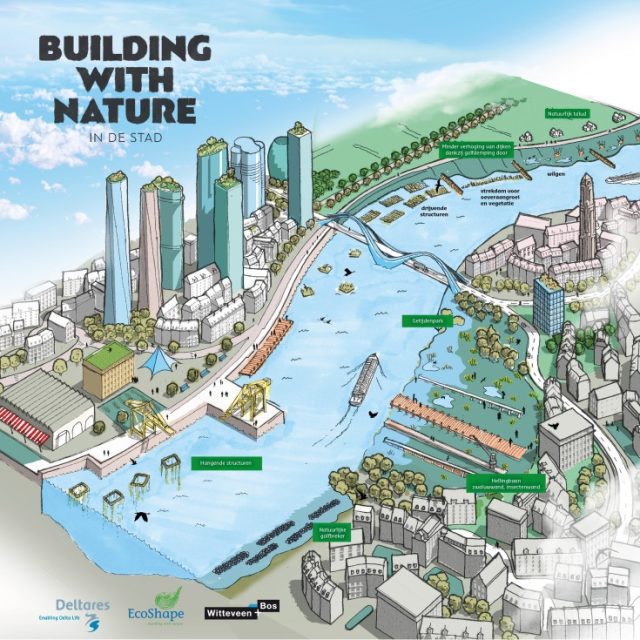 Building with Nature
