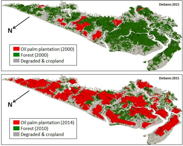 oil palm plantations versus forest and degraded & cropland