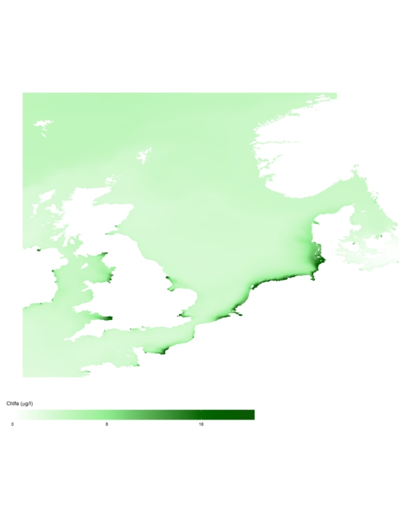 Algenconcentraties in de Noordzee