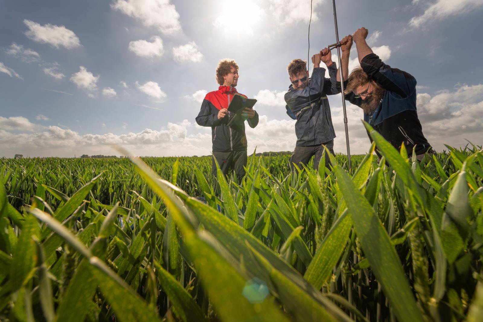 Innovatieve drainage voor zoetwatervoorziening in Zeeland